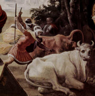  Die Rinder des Helios