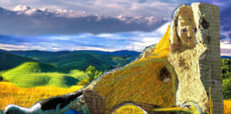 Die Orakelkarte „Fluss“ Fluss