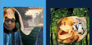 Das Daimonion-Orakel Heldenreise-Orakel: Jede der 28 Karten hat eine hellblau gerahmte Vorderseite und eine dunkelblau gerahmte Rückseite.