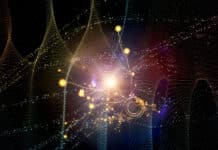 Unsterblichkeit der Seele? Oder Komplexe Systeme?