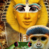 Kindheit ist kein Alter – sondern ein innerer Zustand. Kindheit ist kein Alter – sondern ein innerer Zustand.