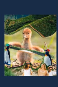 Unsterblichkeit R Unsterblichkeit R