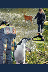 Heldenorakel - Die Karte "Wachsen R" Heldenorakel - Die Karte "Wachsen R"