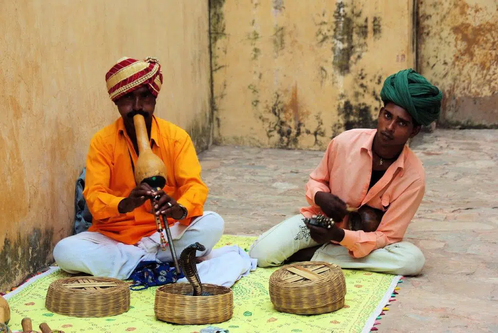 Heilige Tiere im Hinduismus - die Schlange