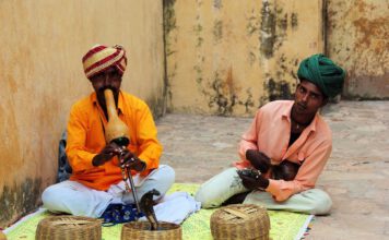 Heilige Tiere im Hinduismus - die Schlange