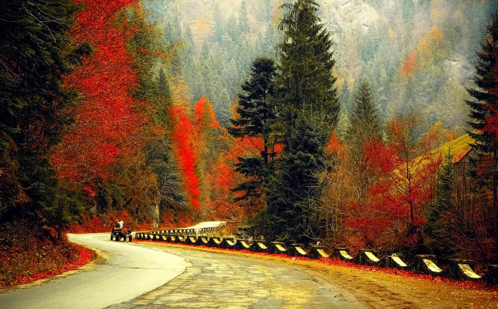 Traumhafte Herbstlandschaft